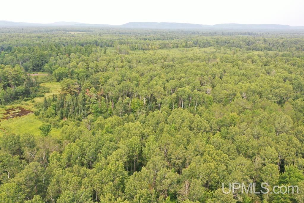 Tbd Tbd Goldberg Road Ewen, MI 49925 - Photo 1 of 6