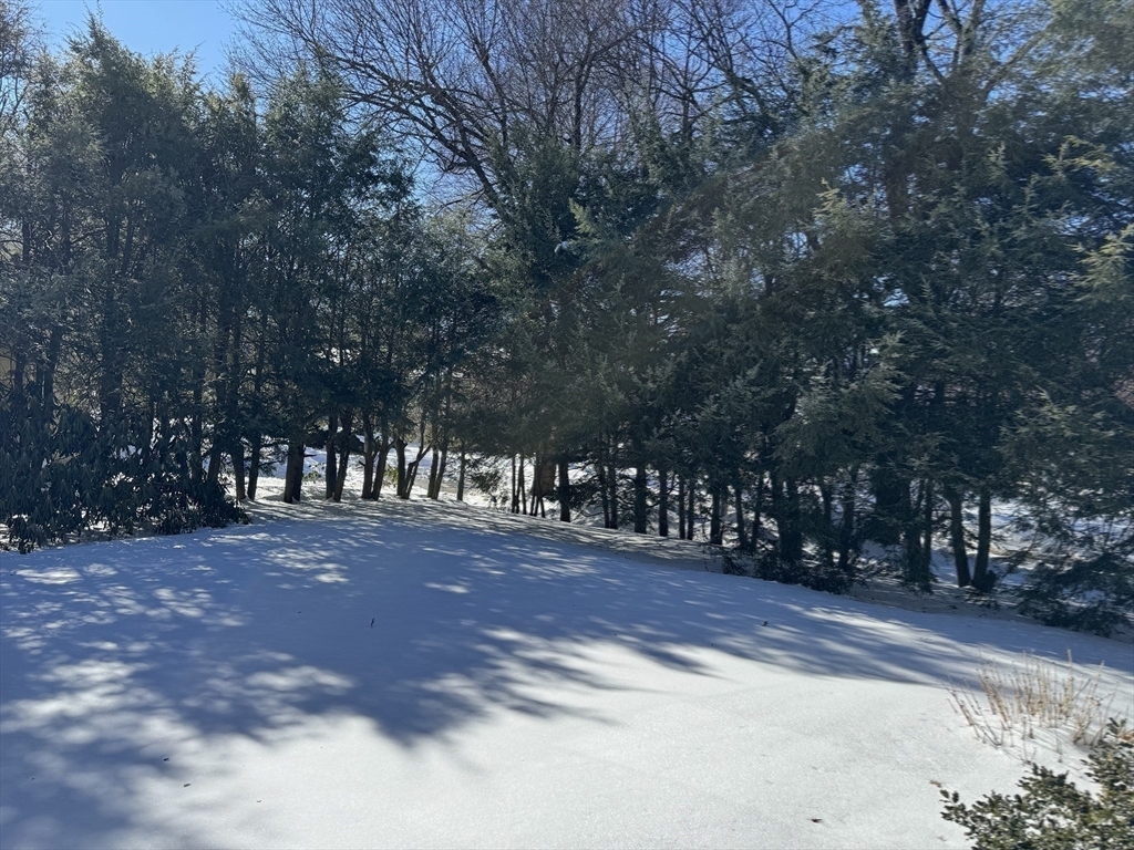 49 Metcalf Street Worcester, MA 01609 - Photo 37 of 38