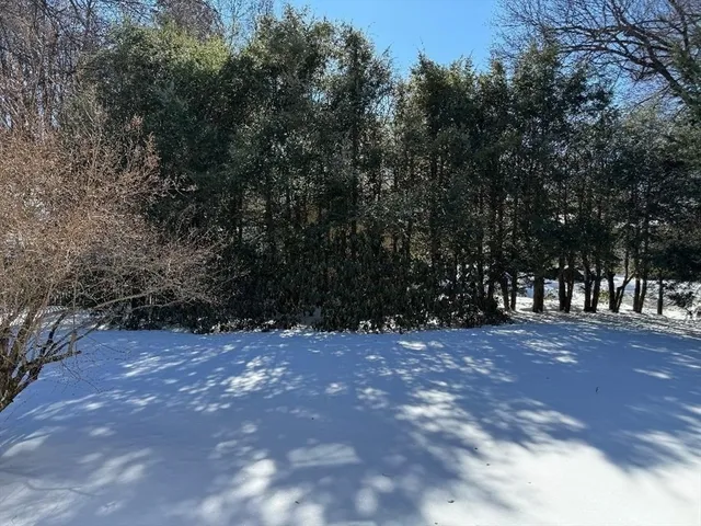 $709,900 | 49 Metcalf Street, Worcester, MA 01609