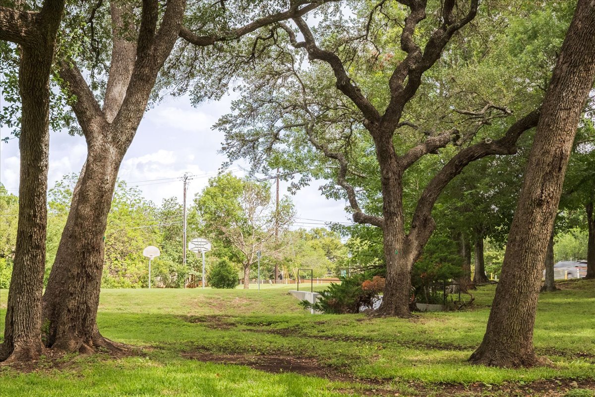 7136 Ridge Oak Road Austin, TX 78749 - Photo 27 of 28 Mature trees shade this generous lot, providing a serene backdrop for outdoor activities.