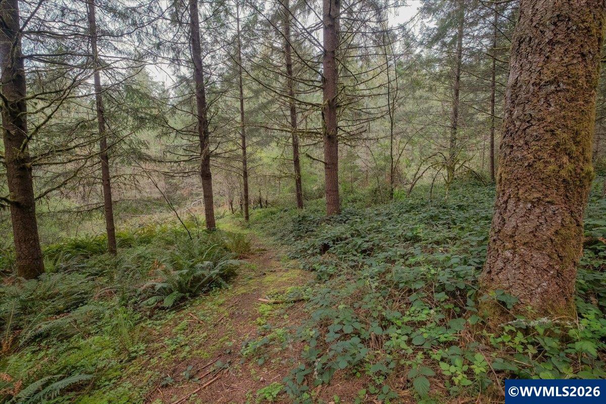 26825 Old Holley Road Sweet Home, OR 97386 - Photo 6 of 48
