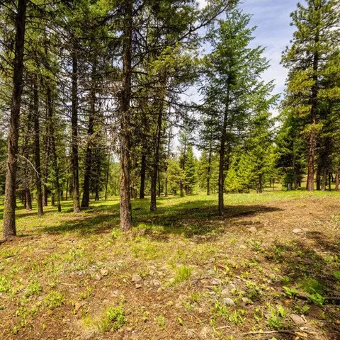 $500,000 | Lot 20 To Be Determined, Unit 20, McCall, ID 83638