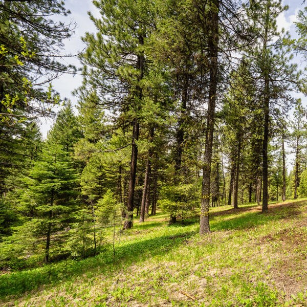 Lot 20 To Be Determined, Unit 20 McCall, ID 83638 - Photo 2 of 2