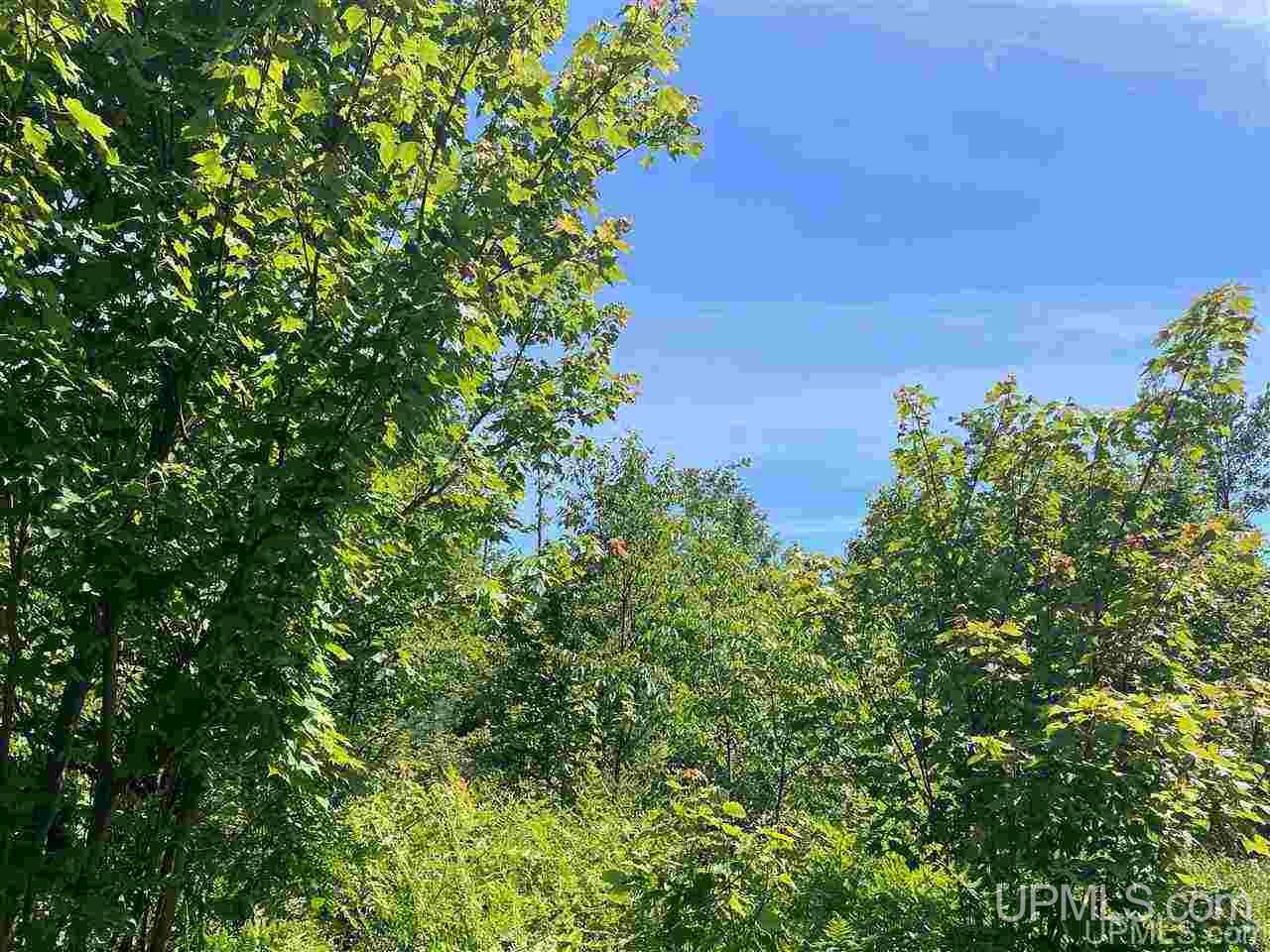 Tbd Off Cooks Lake Road, Unit 1 Wetmore, MI 49895 - Photo 19 of 19