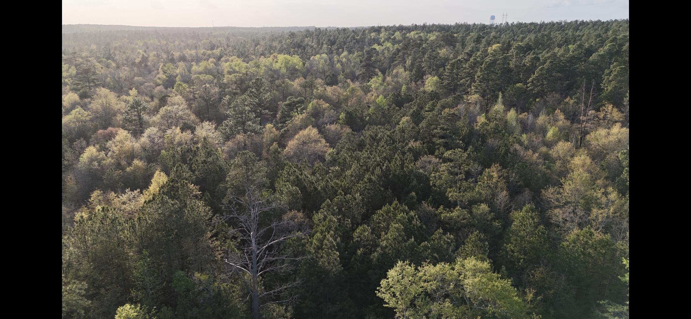 2797 Raborn Road Hephzibah, GA 30815 - Photo 11 of 21 1000014583