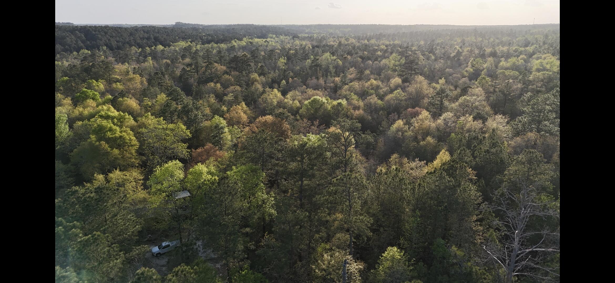 2797 Raborn Road Hephzibah, GA 30815 - Photo 12 of 21 1000014581