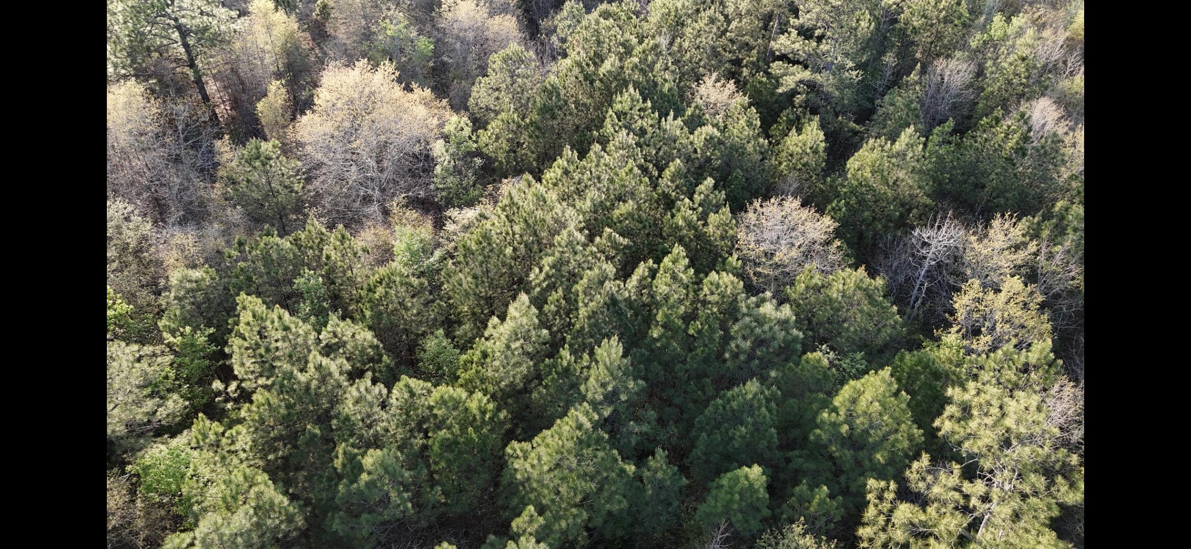 2797 Raborn Road Hephzibah, GA 30815 - Photo 13 of 21 1000014579