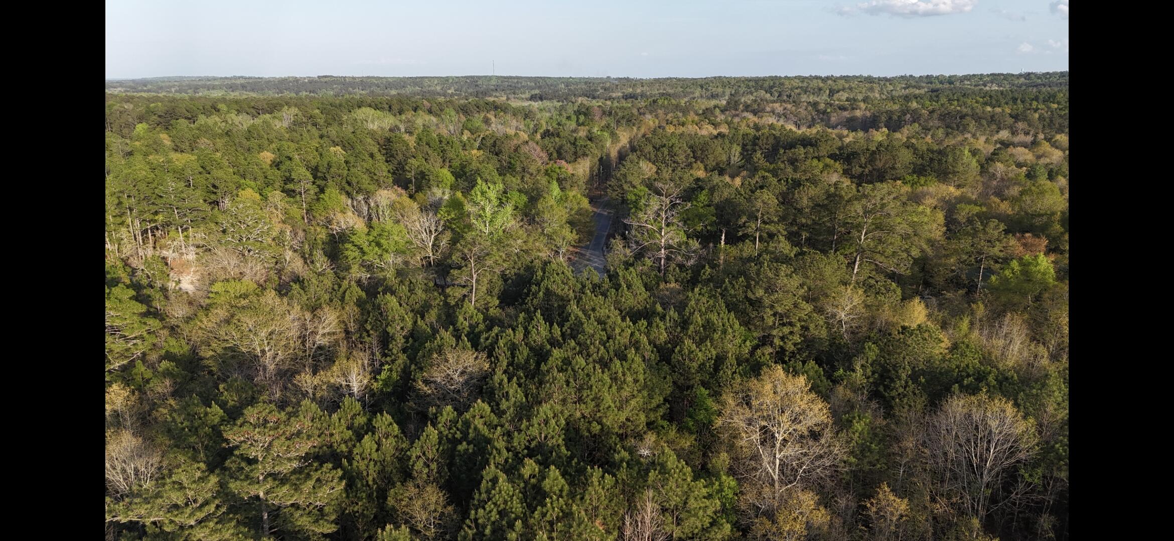 2797 Raborn Road Hephzibah, GA 30815 - Photo 14 of 21 1000014571