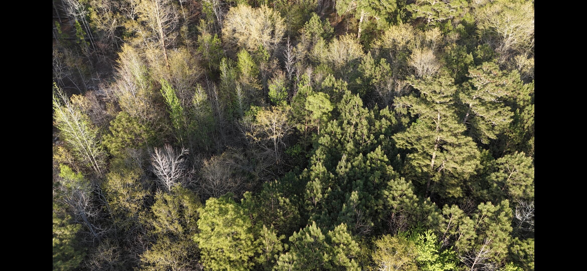 2797 Raborn Road Hephzibah, GA 30815 - Photo 15 of 21 1000014573