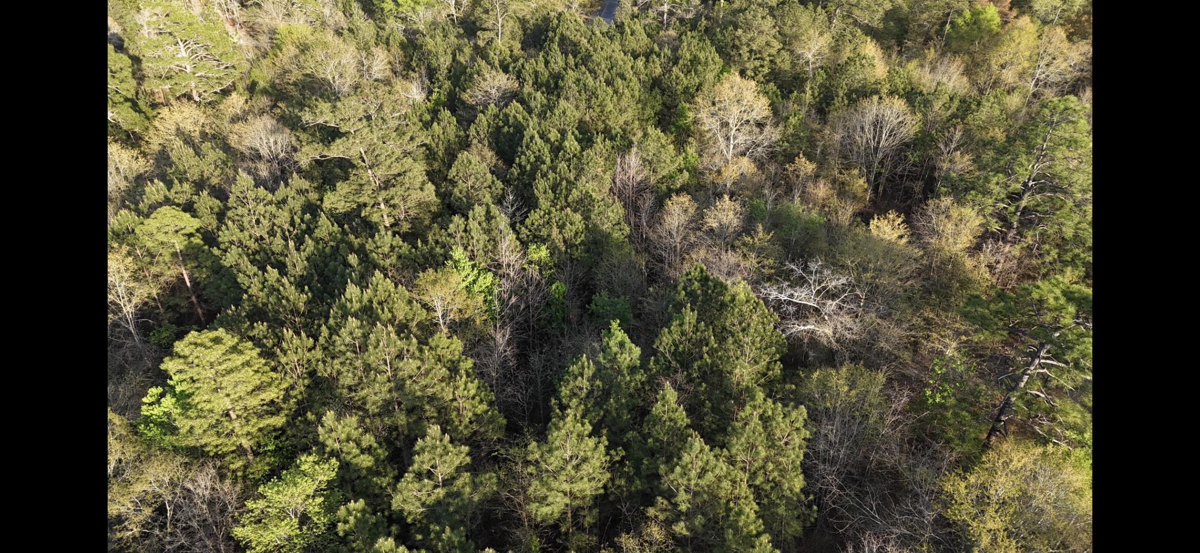 2797 Raborn Road Hephzibah, GA 30815 - Photo 16 of 21 1000014567