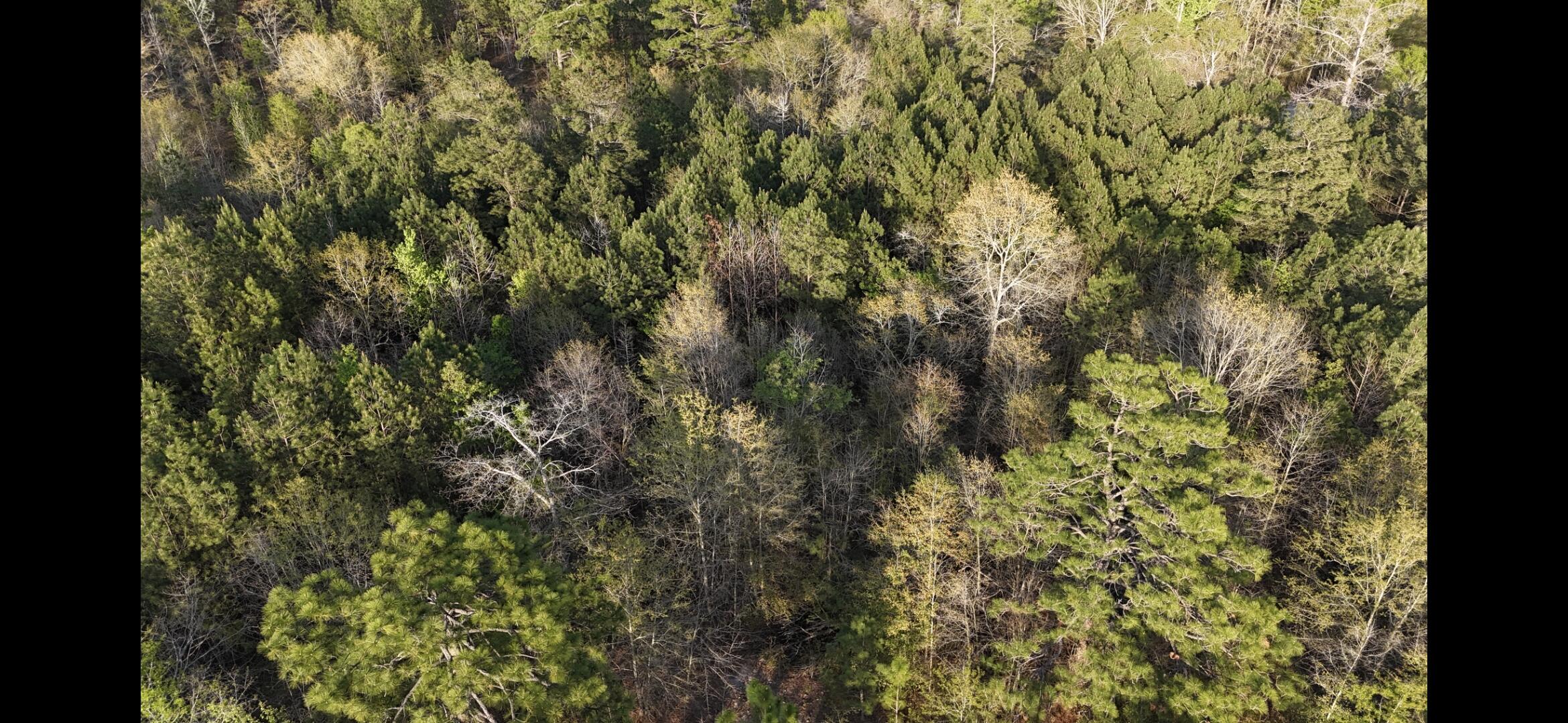 2797 Raborn Road Hephzibah, GA 30815 - Photo 17 of 21 1000014565