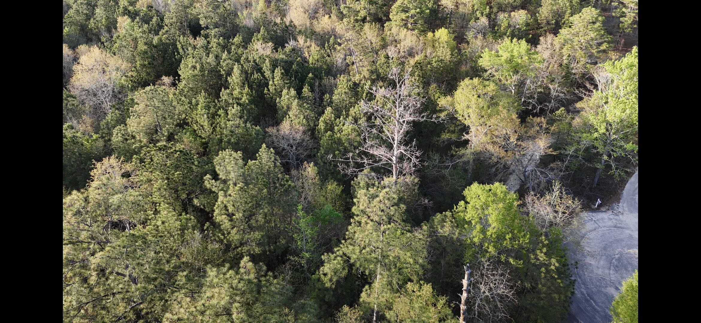 2797 Raborn Road Hephzibah, GA 30815 - Photo 18 of 21 1000014563