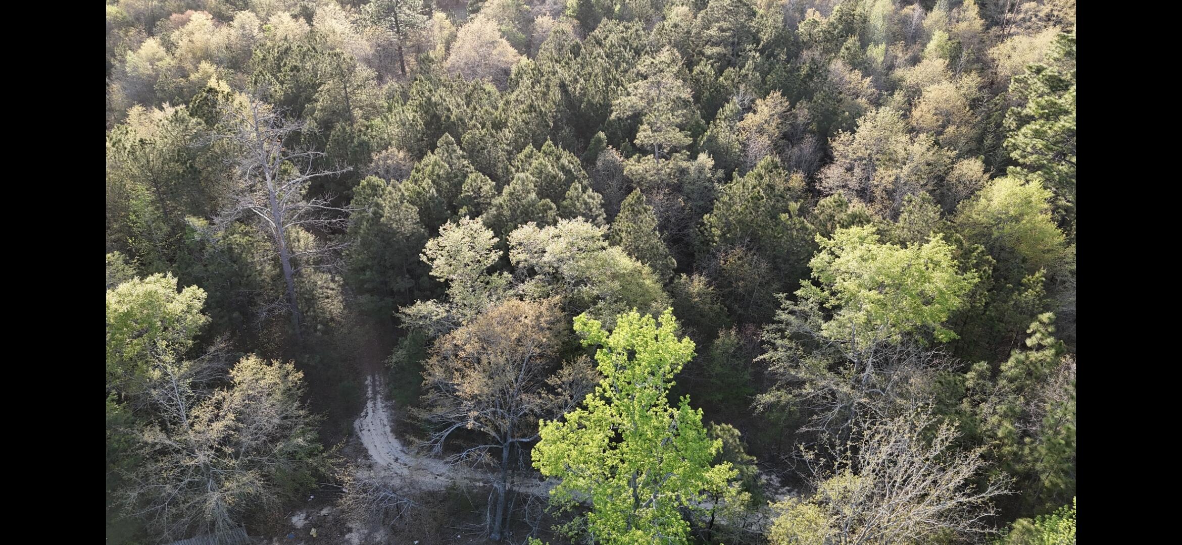 2797 Raborn Road Hephzibah, GA 30815 - Photo 19 of 21 1000014561