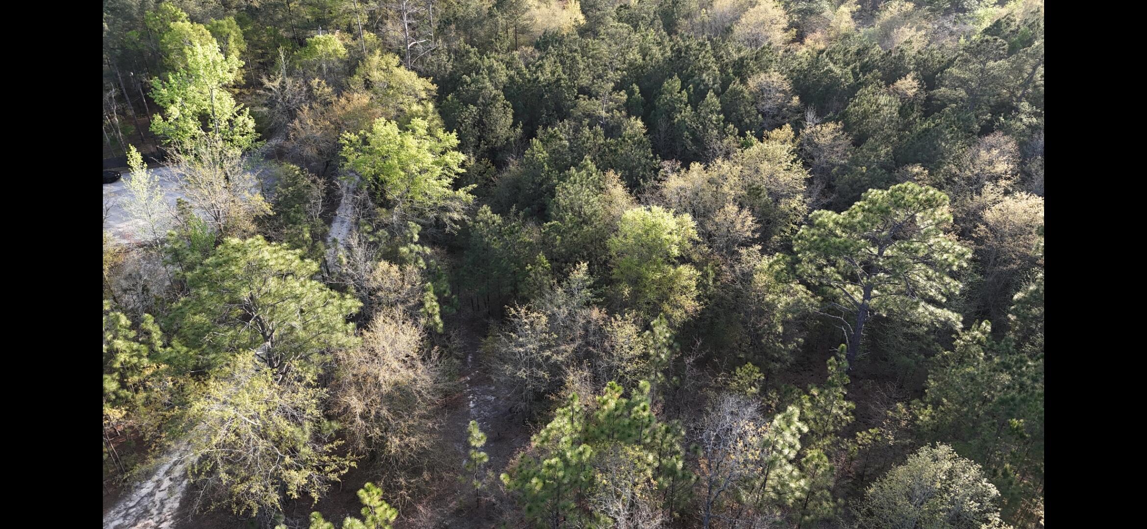 2797 Raborn Road Hephzibah, GA 30815 - Photo 20 of 21 1000014559