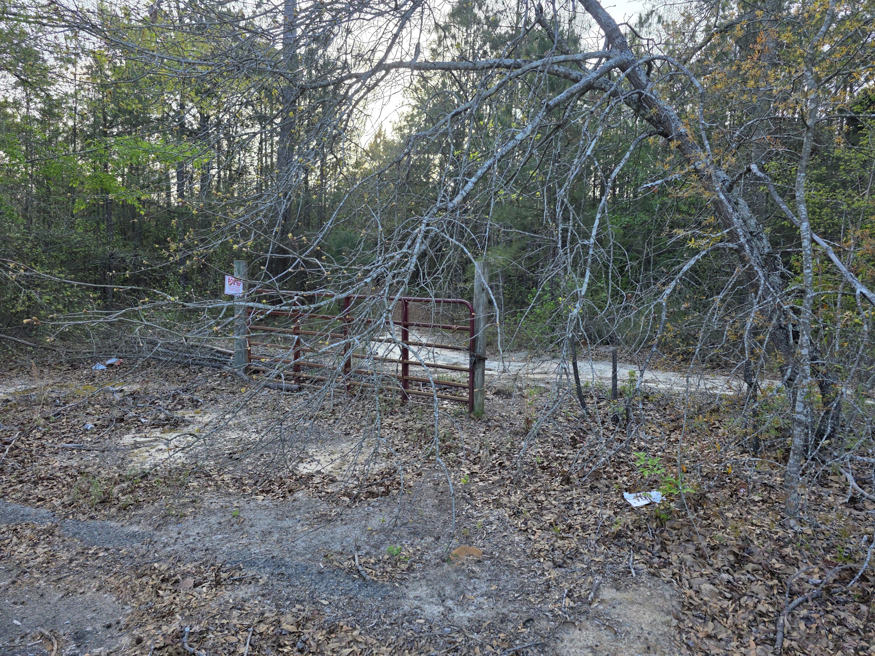 2797 Raborn Road Hephzibah, GA 30815 - Photo 2 of 21 1000014535