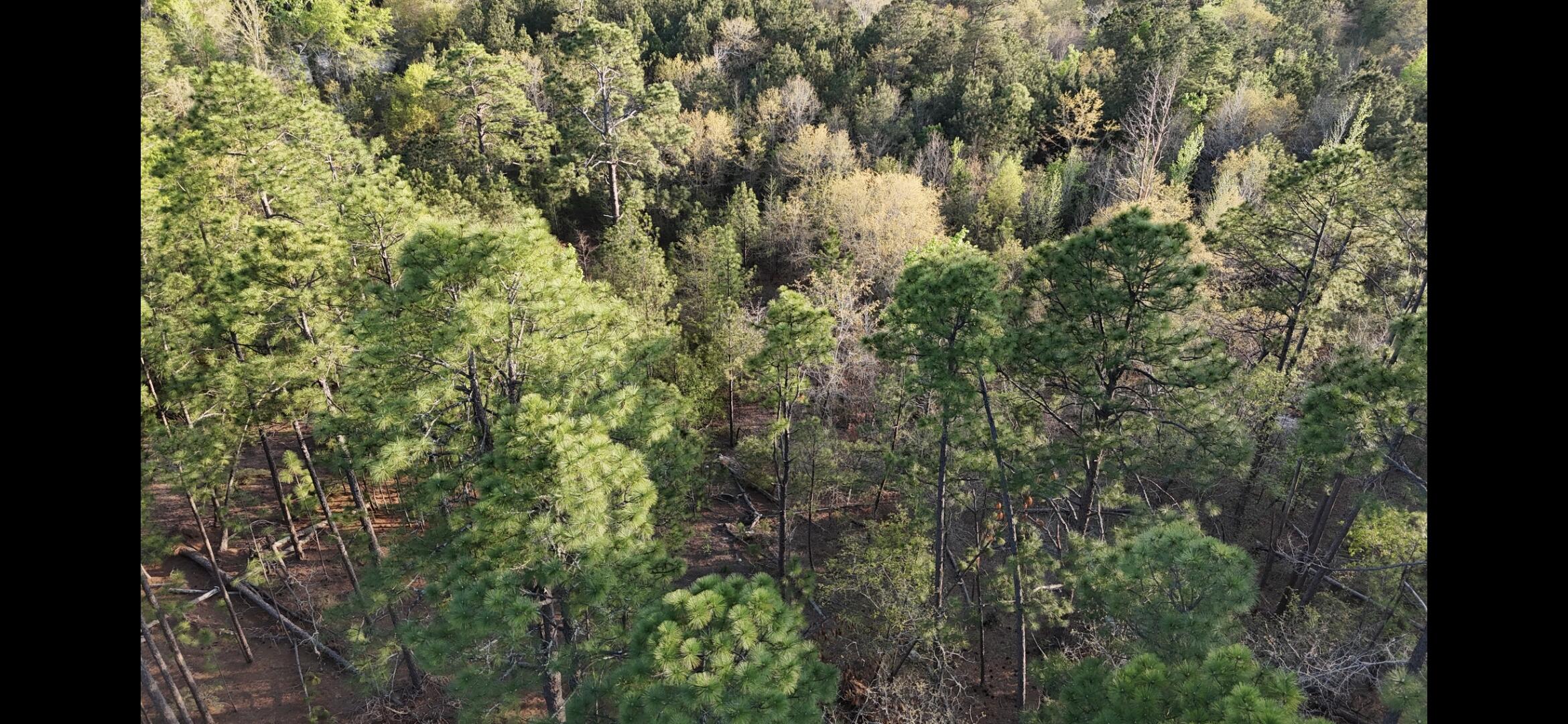 2797 Raborn Road Hephzibah, GA 30815 - Photo 21 of 21 1000014555