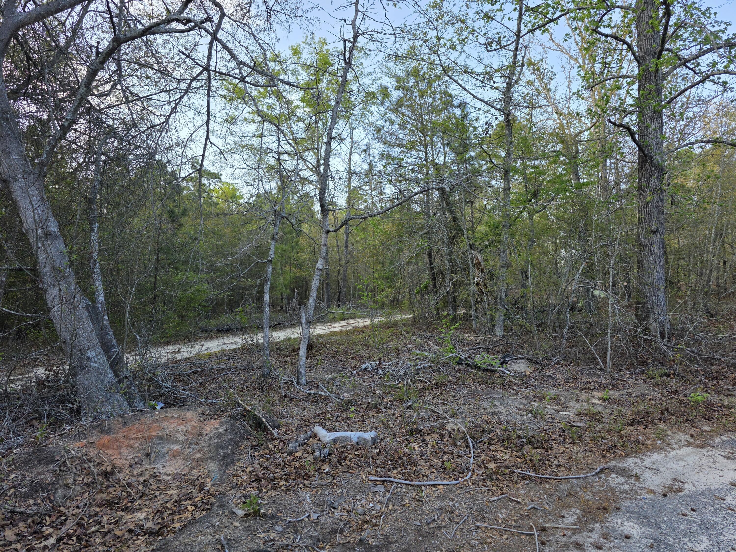 2797 Raborn Road Hephzibah, GA 30815 - Photo 3 of 21 1000014536