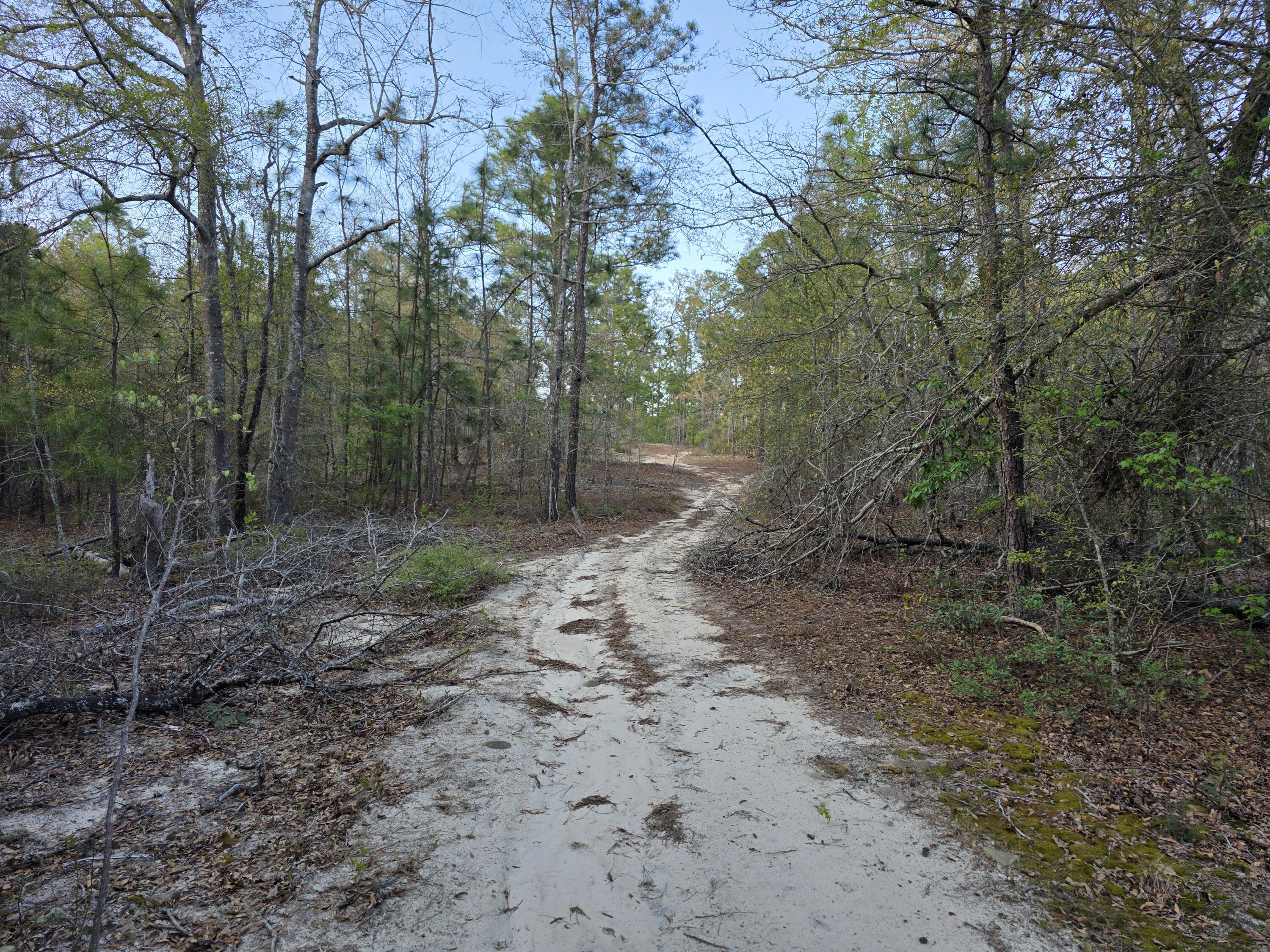 2797 Raborn Road Hephzibah, GA 30815 - Photo 4 of 21 1000014533