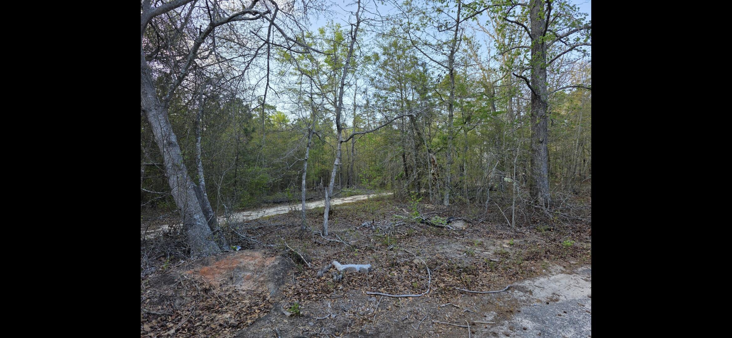 2797 Raborn Road Hephzibah, GA 30815 - Photo 5 of 21 1000014591