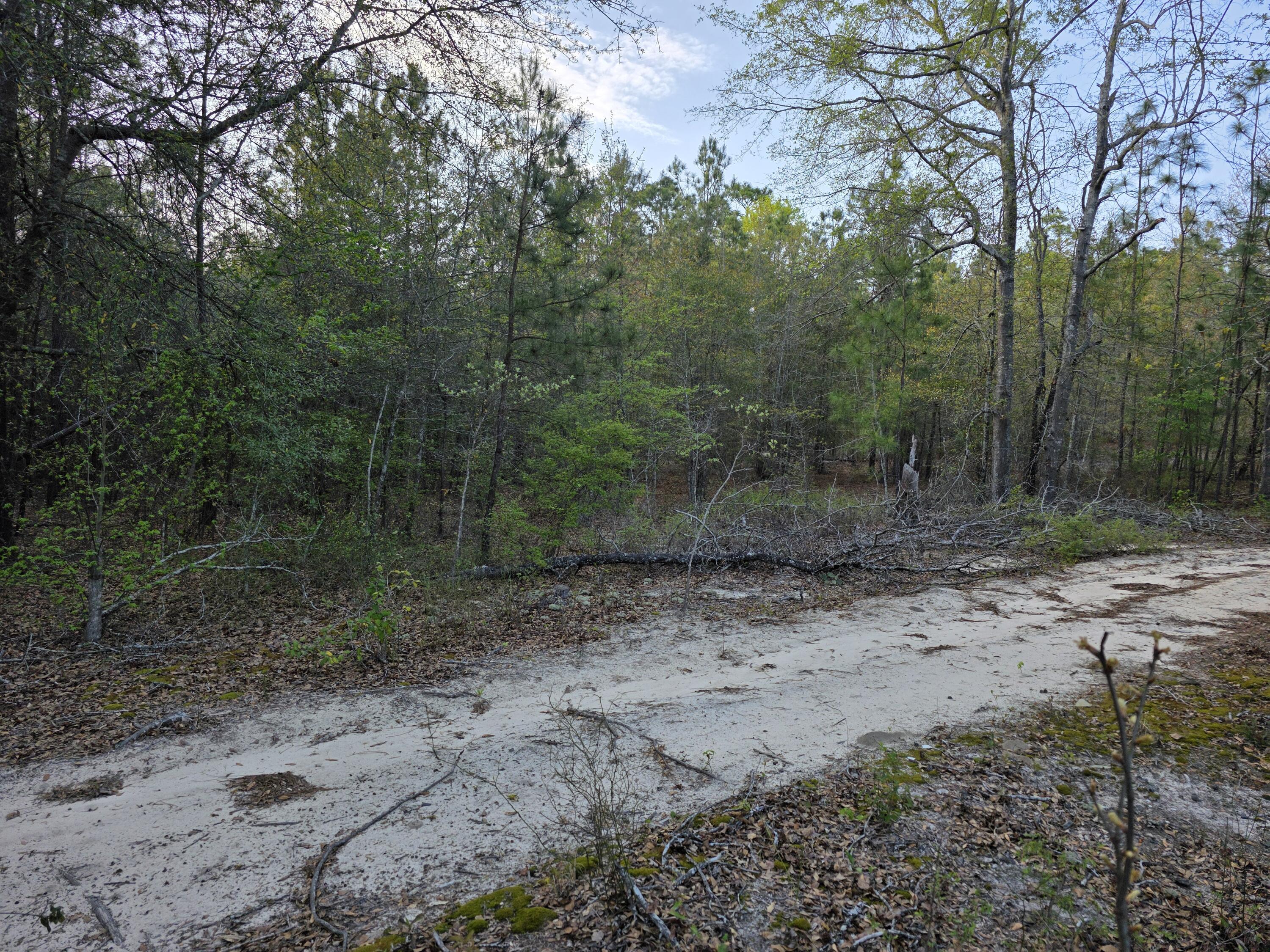 2797 Raborn Road Hephzibah, GA 30815 - Photo 8 of 21 1000014531