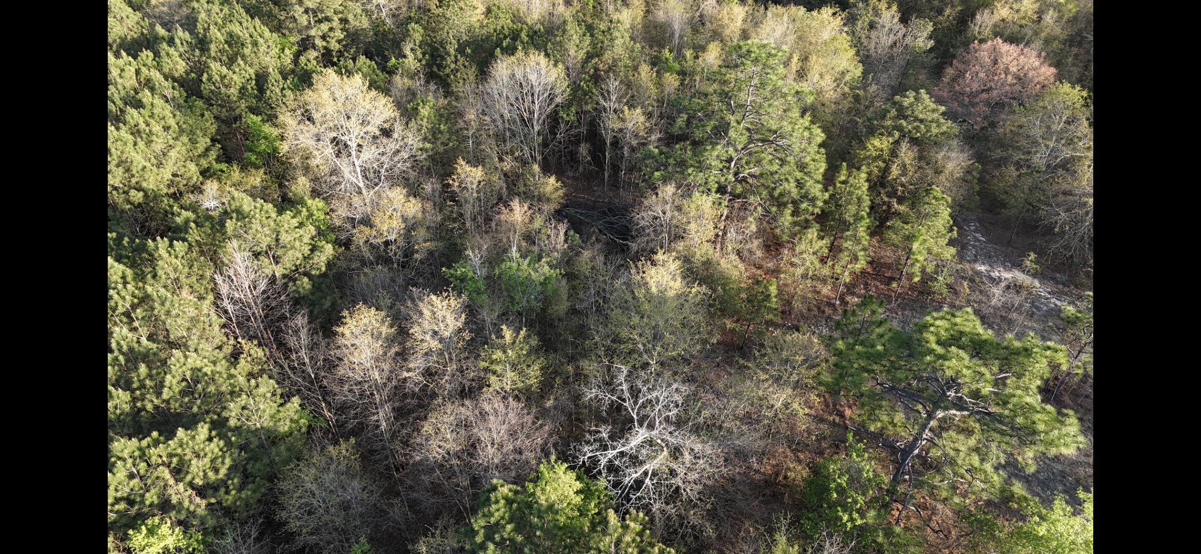 2797 Raborn Road Hephzibah, GA 30815 - Photo 9 of 21 1000014575