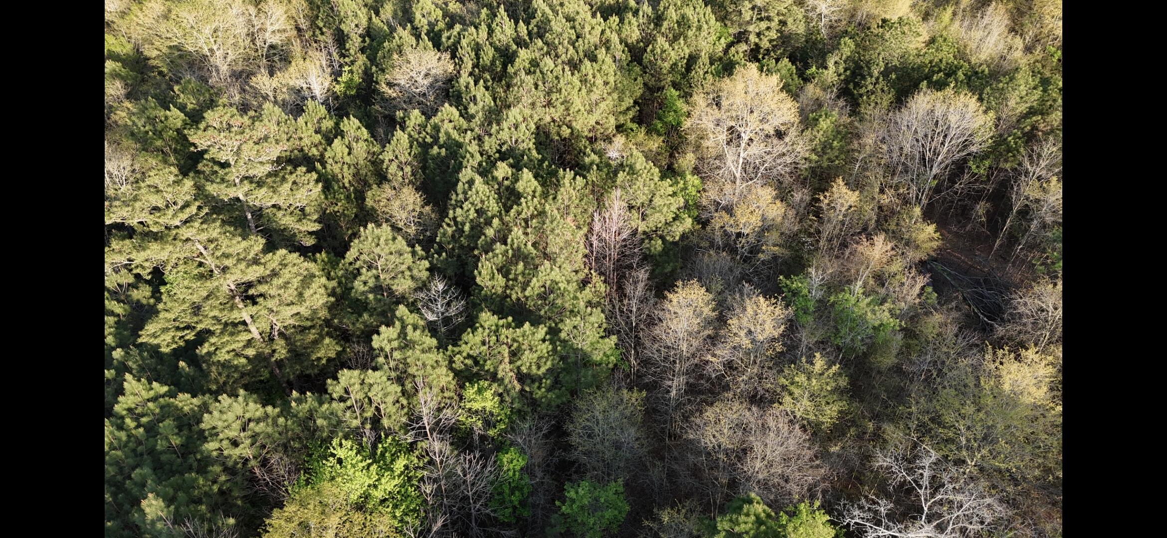 2797 Raborn Road Hephzibah, GA 30815 - Photo 10 of 21 1000014577