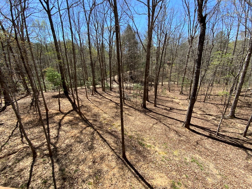 28 Copper Fox Corner Murphy, NC 28906 - Photo 8 of 36