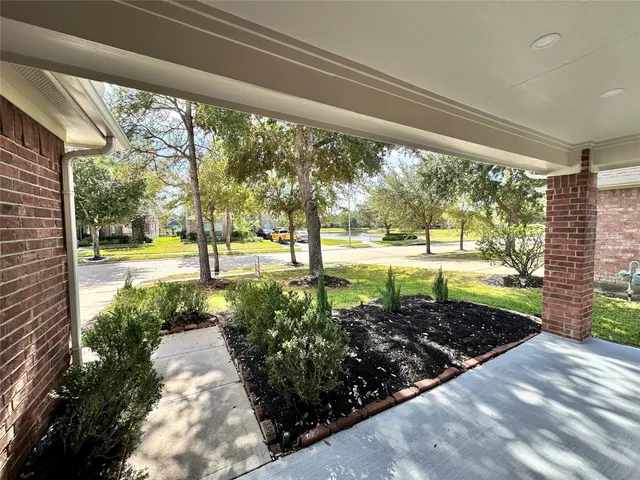 a view of a back yard from a building