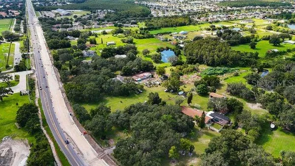 a view of a yard with plants