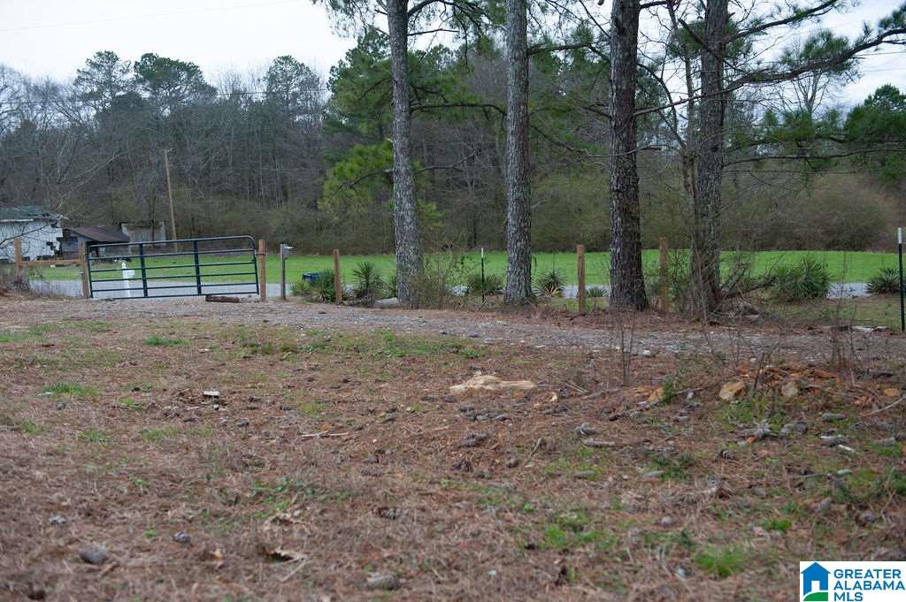 1085 Jones Chapel Loop Springville, AL 35146 - Photo 27 of 32