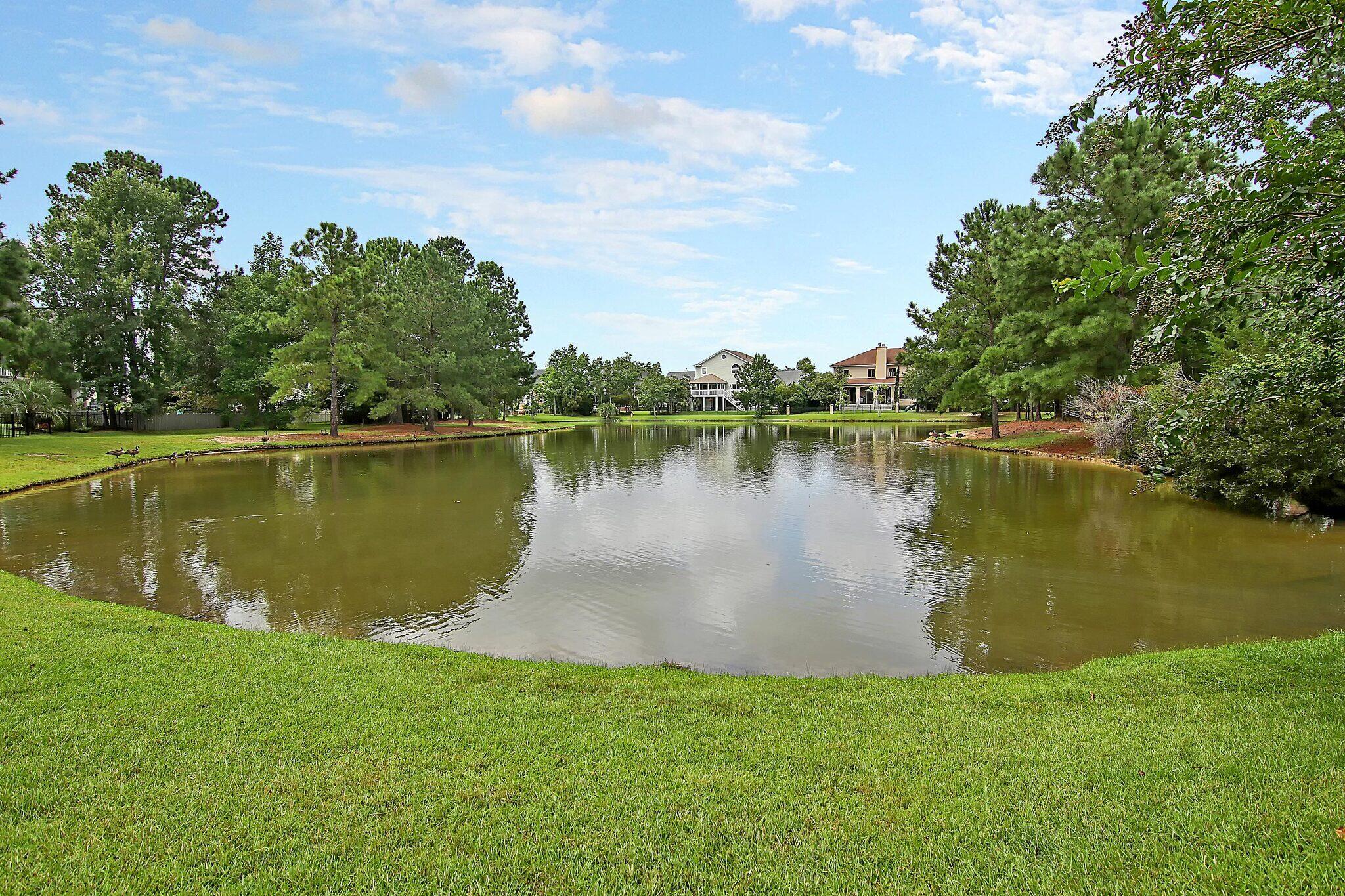 2128 Sandy Point Lane Mount Pleasant, SC 29466 - Photo 11 of 67 2128 Sandy Point pond