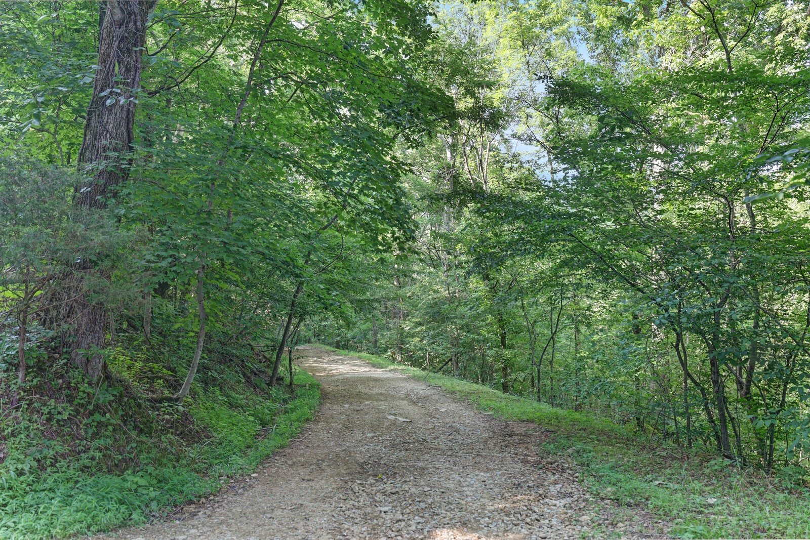 0 Martin Hollow Road Culleoka, TN 38451 - Photo 11 of 13