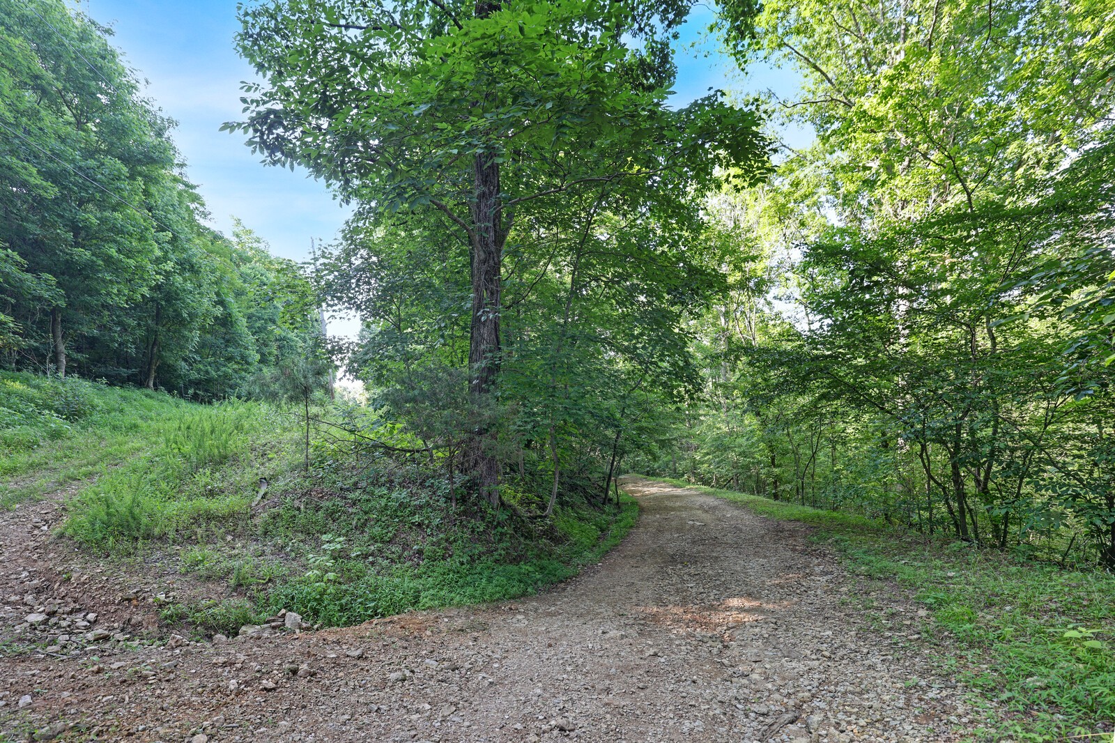 0 Martin Hollow Road Culleoka, TN 38451 - Photo 10 of 13