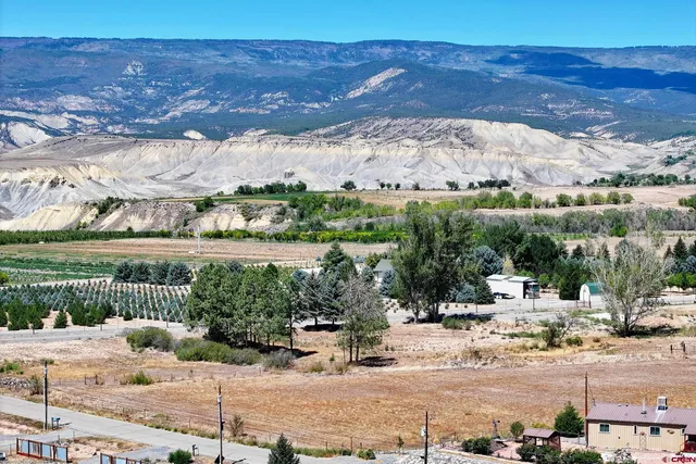 a view of a terrace with a garden