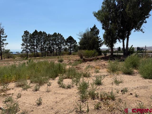 21045 Nowhere Road Eckert, CO 81418 - Photo 12 of 36 a view of a lake with outdoor space