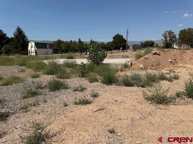 21045 Nowhere Road Eckert, CO 81418 - Photo 15 of 36 a view of a dry yard with wooden fence