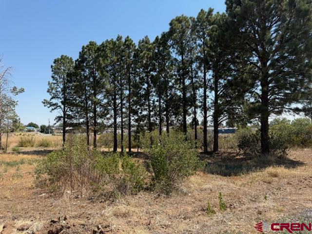 21045 Nowhere Road Eckert, CO 81418 - Photo 16 of 36 a view of backyard with green space