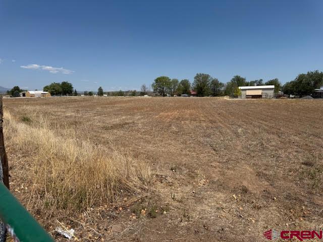 21045 Nowhere Road Eckert, CO 81418 - Photo 19 of 36 a view of a open area with green space