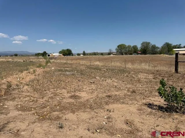 a view of dirt yard with a tree