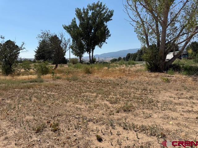 21045 Nowhere Road Eckert, CO 81418 - Photo 24 of 36 a view of dirt yard with a tree