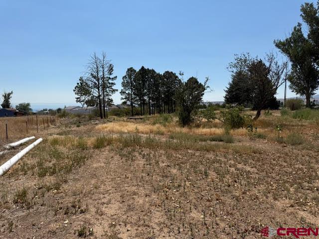 21045 Nowhere Road Eckert, CO 81418 - Photo 25 of 36 a view of a dry yard with trees