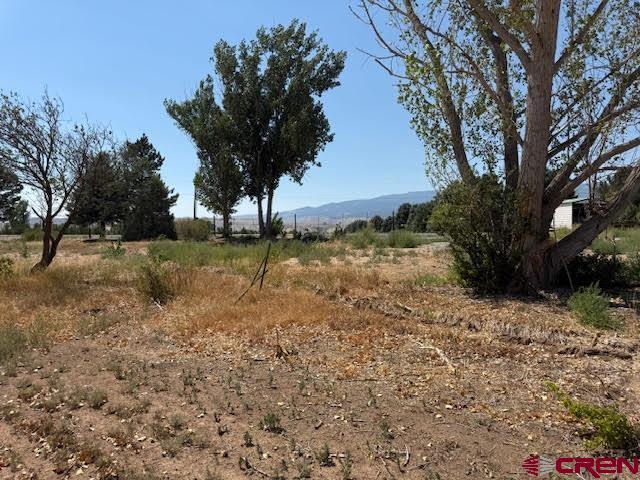 21045 Nowhere Road Eckert, CO 81418 - Photo 26 of 36 a view of a yard with a tree