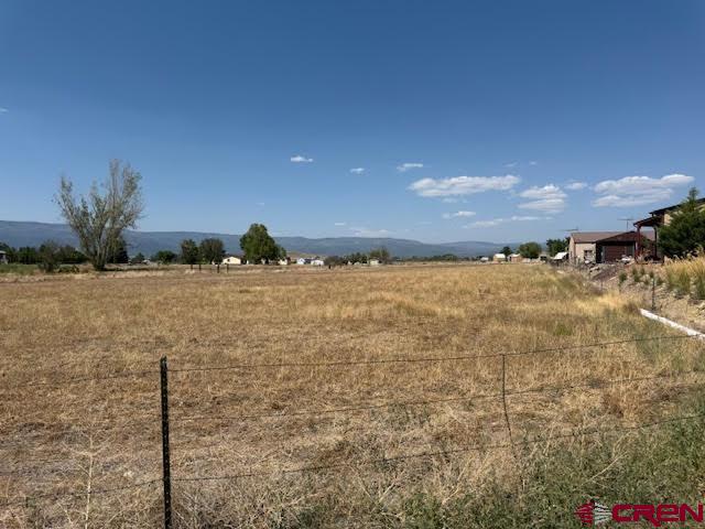 21045 Nowhere Road Eckert, CO 81418 - Photo 35 of 36 a view of a pathway both side of building