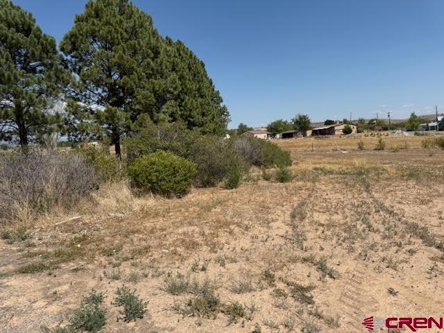 21045 Nowhere Road Eckert, CO 81418 - Photo 36 of 36 a view of a dry yard with wooden fence and trees