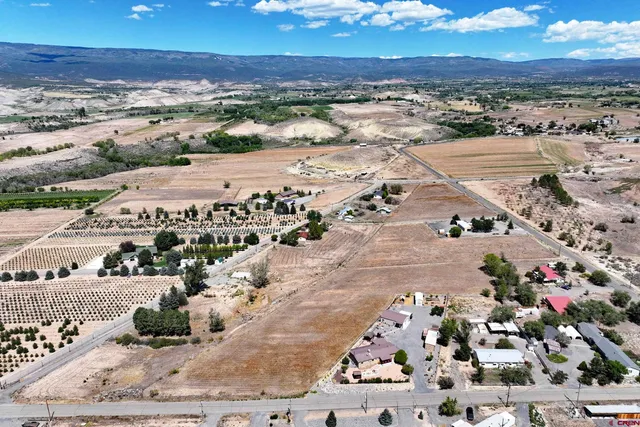 a view of city view and tree