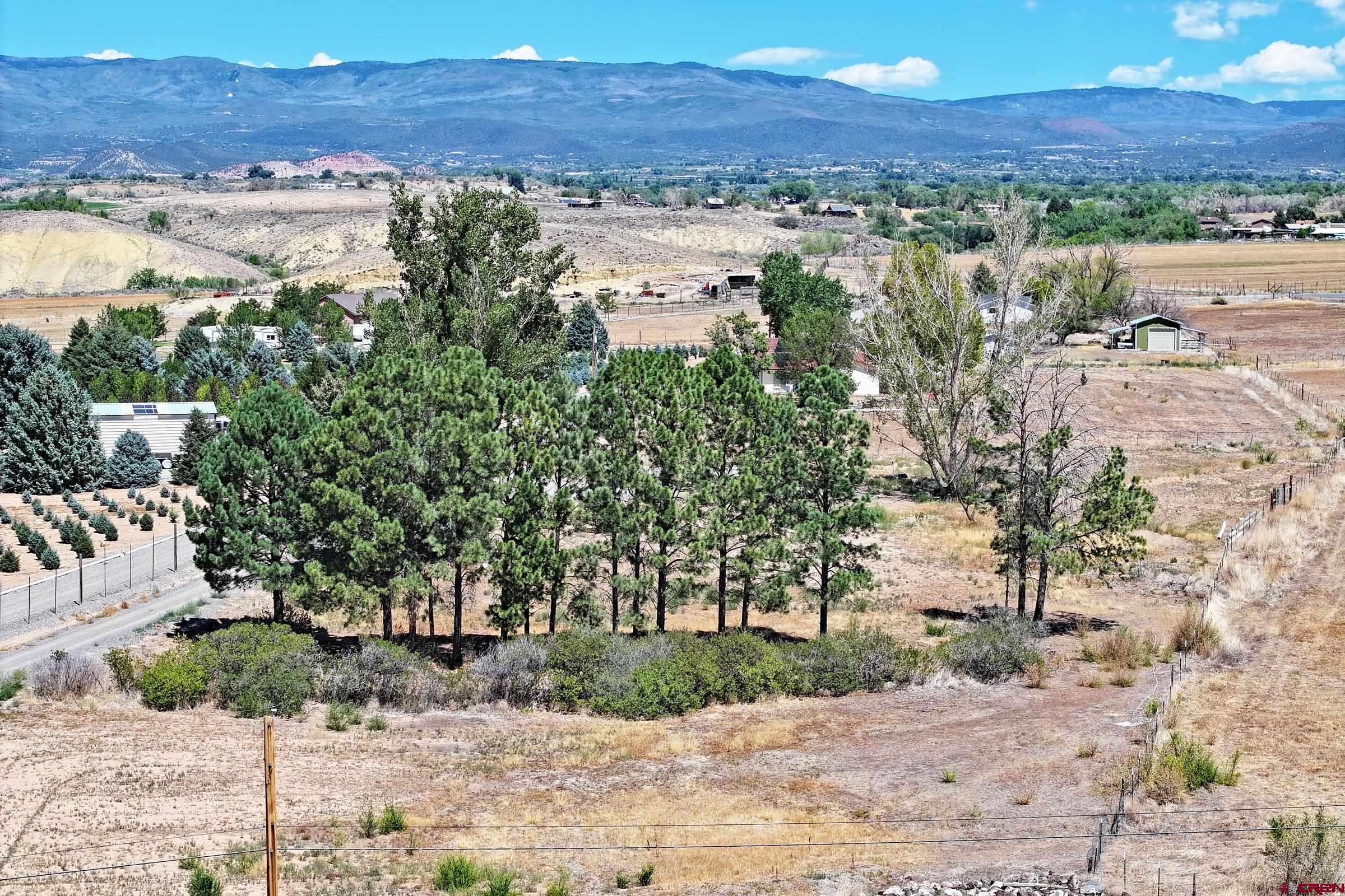 21045 Nowhere Road Eckert, CO 81418 - Photo 6 of 36 a view of city view and tree