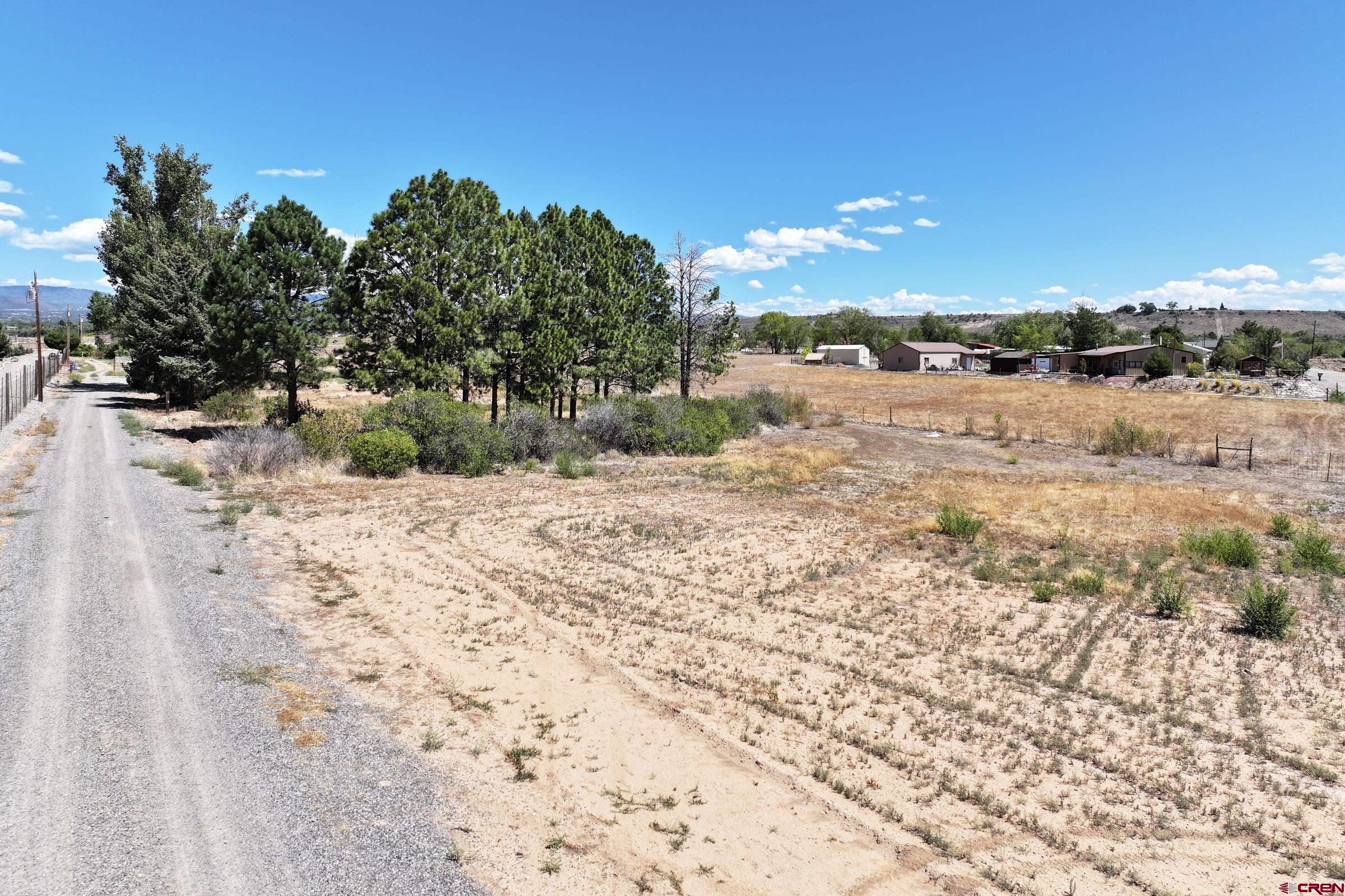 21045 Nowhere Road Eckert, CO 81418 - Photo 9 of 36 a view of a yard with a snow
