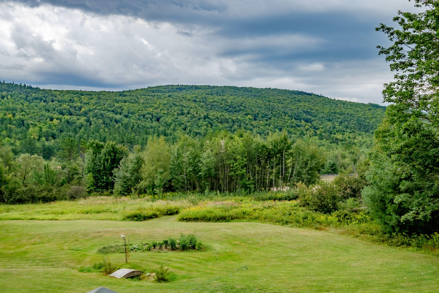 50 Bog Road Gilead, ME 04217 - Photo 17 of 79 20190830gp-61018