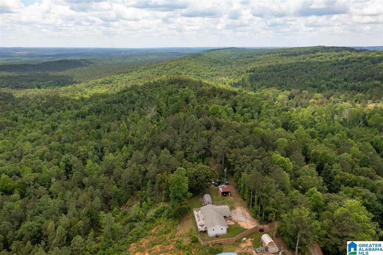 344 Roubdioux Road Bessemer, AL 35022 - Photo 28 of 37 Gallery Image 28