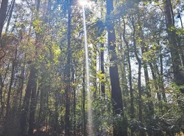 $225,000 | 0 Hwy 165 Highway, Forest Hill, LA 71430